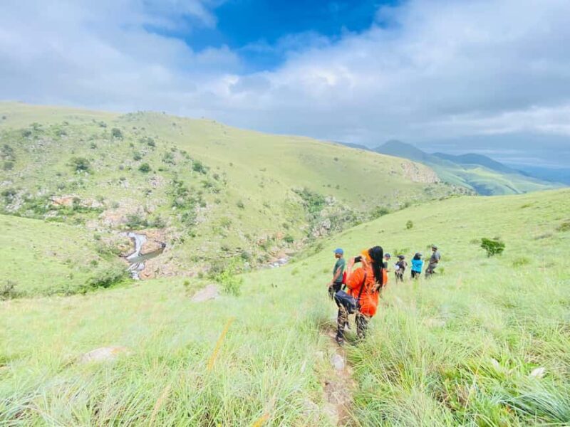 Mbabane: Malolotja Nature Reserve Hiking Tour - The Sum Up