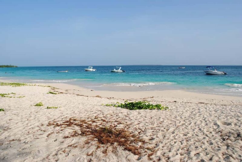 Mbudya Island: Private Tour Day Trip from Dar es salaam - What to Expect from the Mbudya Island Tour  
