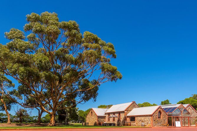 McLaren Vale and Glenelg Wine Tasting and Sightseeing (Half-day Afternoon) - Authentic Experiences from Reviews