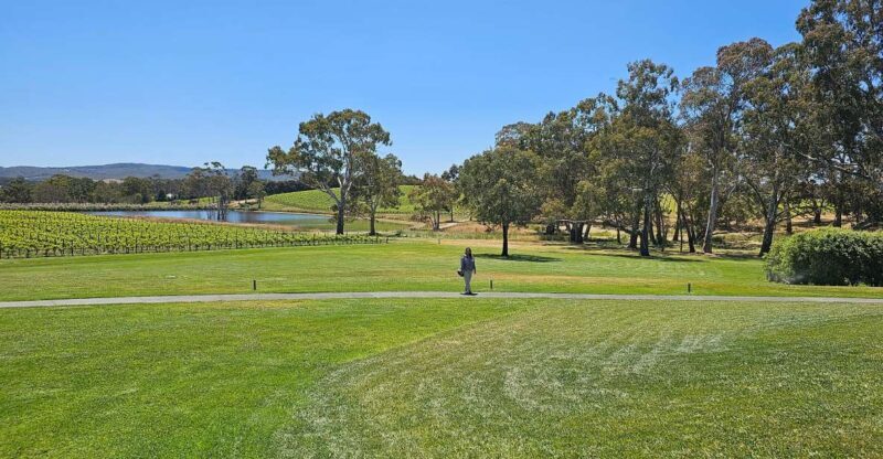 McLaren Vale and Historic Hahndorf Wine Tour - Final Thoughts