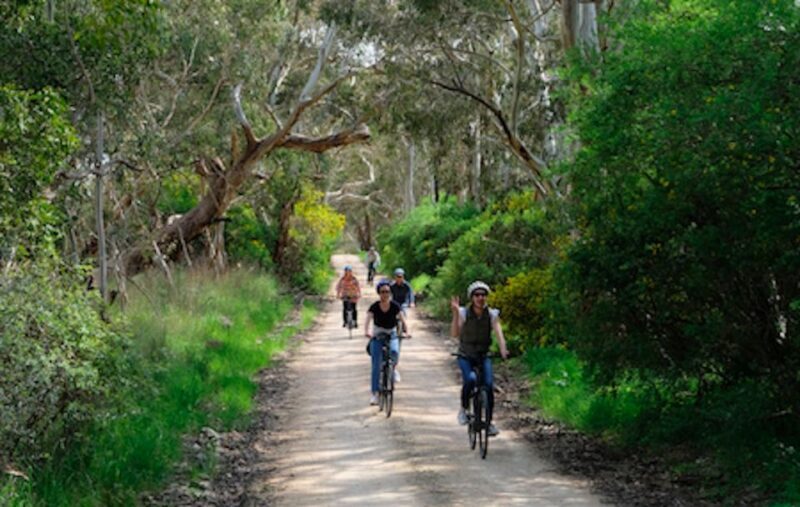 McLaren Vale: E-Bike Rental to Explore the Vineyards - A Close Look at the Experience