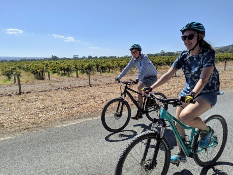 Mclaren Vale Hills Vines and Wines Bike Tour from Adelaide - Why This Tour Works Well for Travelers