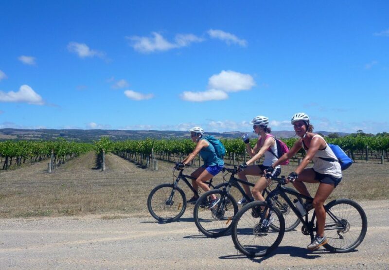 Mclaren Vale Hills Vines and Wines Bike Tour from Adelaide - The Verdict: Is It Worth It?