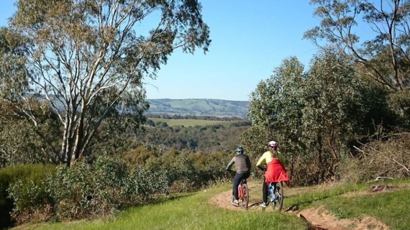 Mclaren Vale Hills Vines and Wines Bike Tour from Adelaide - Frequently Asked Questions