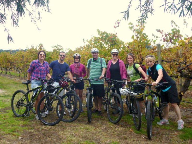 Mclaren Vale Hills Vines and Wines Bike Tour from Adelaide - Final Thoughts