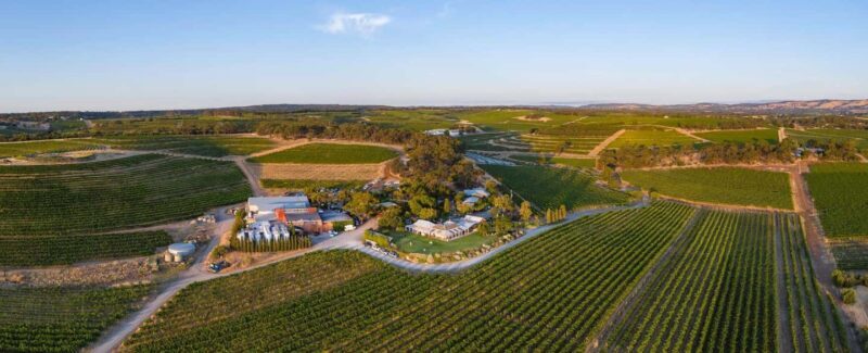 McLaren Vale North: Hop-On Hop-Off Tour - Introduction