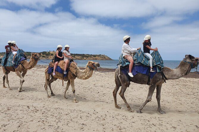 McLaren Vale, Port Elliot and Victor Harbor Minibus Tour - Scenic Drive Along South Australia’s Coast  