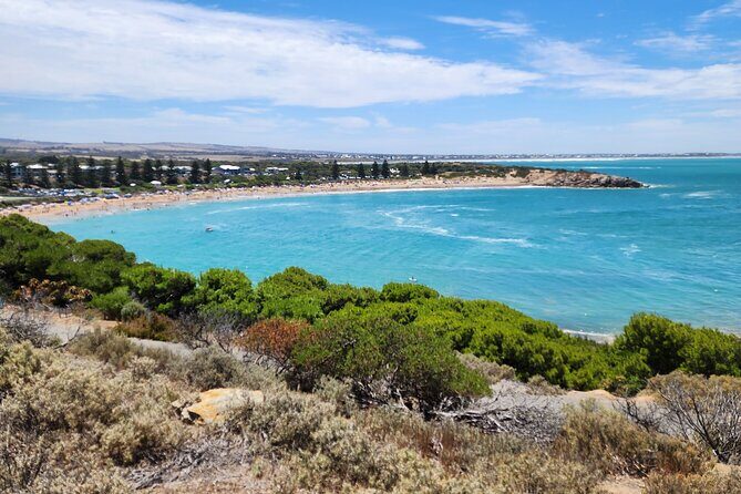 McLaren Vale, Port Elliot and Victor Harbor Minibus Tour - The Highlight: dArenberg Cube and Wine Tasting  