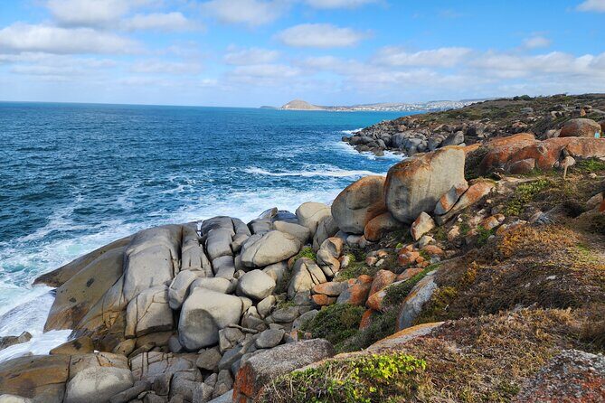 McLaren Vale, Port Elliot and Victor Harbor Minibus Tour - Final Thoughts: Who Will Love This Tour?  