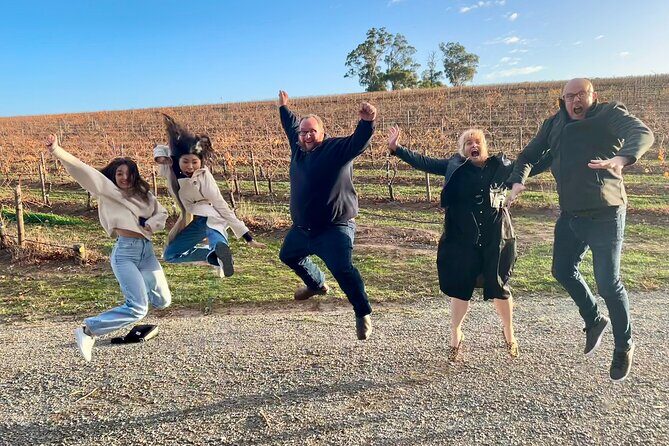 McLaren Vale Private Tour inc Premium Lunch & d'Arenberg Cube - Practical Details and What You Should Know