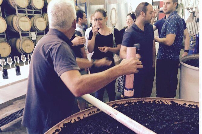 McLaren Vale Private Wine Tour - Final Thoughts: Is This Tour Worth It?