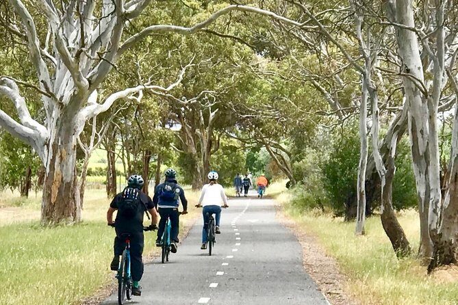 McLaren Vale Shiraz Trail Cycling Tour from Adelaide - Authentic Experiences and Review Insights
