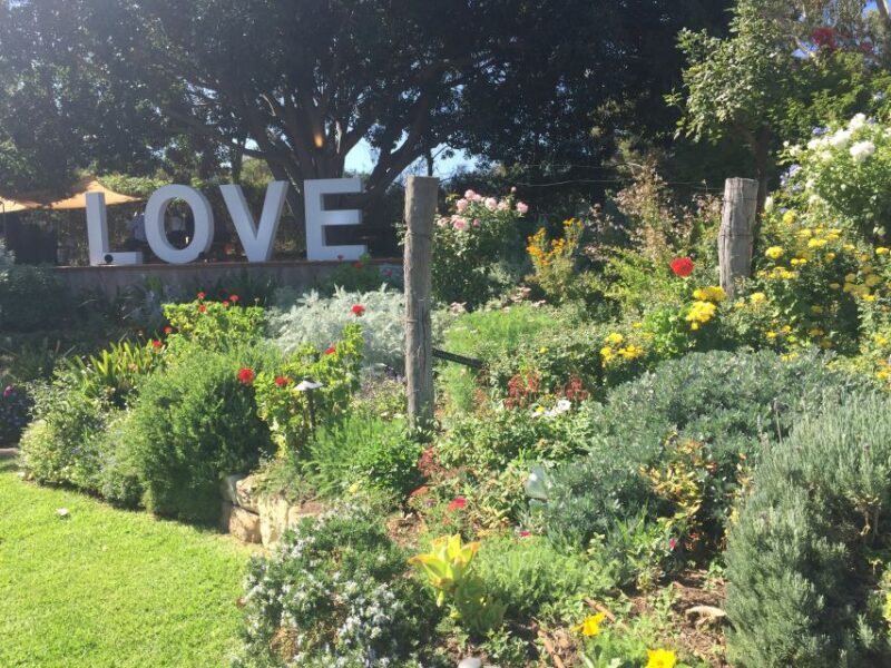 McLaren Vale: Small Group Wine Tour (Includes Lunch) - Exploring the McLaren Vale Region: What’s on Offer