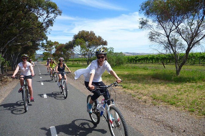 McLaren Vale Wine Tour by Bike - Exploring the McLaren Vale Wine Tour by Bike: A Detailed Look