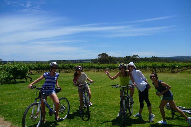 McLaren Vale Wine Tour by Bike - The Real Value of This Tour