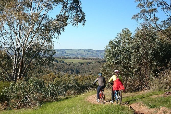 McLaren Vale Wine Tour by Bike - Final Thoughts