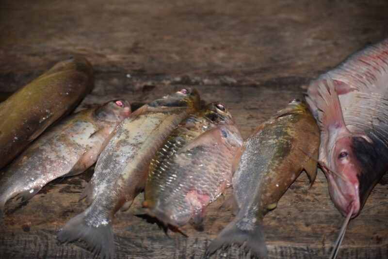 mdd-yacumama-lake-and-piranha-fishing