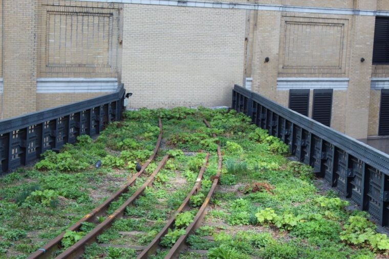 meatpacking-district-chelsea-market-and-the-highline-tour