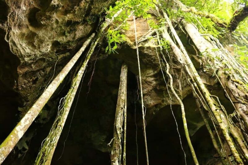 Medan: Bat Cave Exploration and Riverside Picnic - Setting the Scene: From Medan to Bukit Lawang