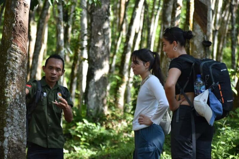 Medan: Bukit Lawang & Berastagi 5-Day Adventure Tour - Practical Details & Considerations