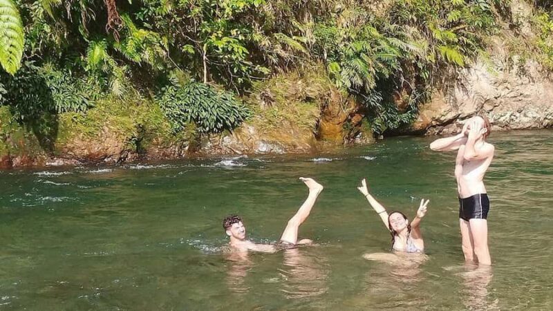 Medan: Bukit Lawang Orangutan Tour - The Itinerary Breakdown: What You’ll Experience