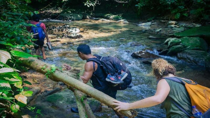 Medan: Bukit Lawang Orangutan Tour - Final Thoughts: Is this Tour for You?