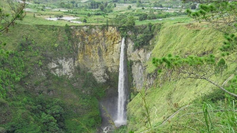 Medan: Discover the Best of Sumatra Day Trip! - Food and Flavors: A Taste of Sumatra