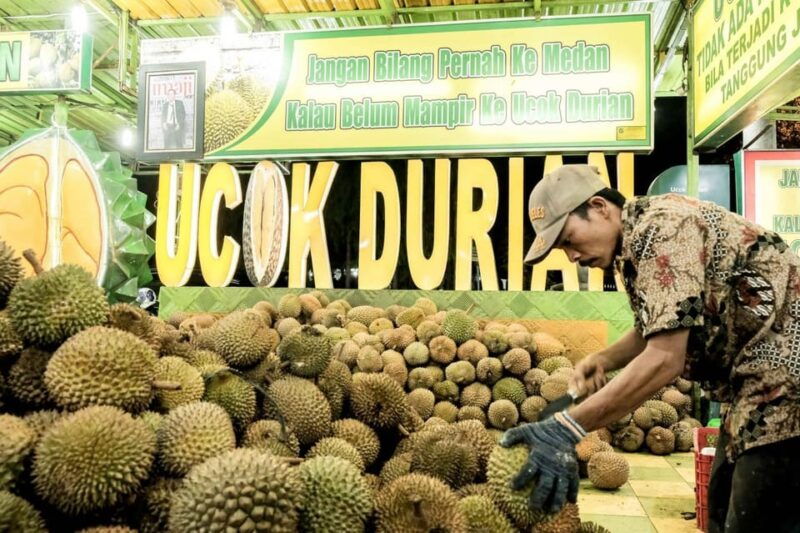 medan-private-car-driver-for-medan-excursions