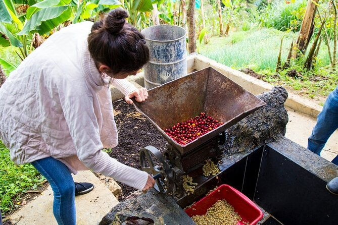 medellin-horse-ride-coffee-tour-and-spa