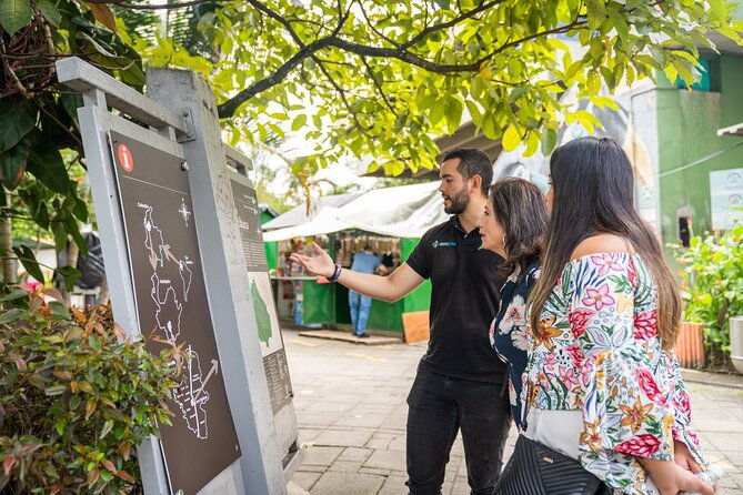 medellin-tour-themed-vehicles-tram-ride-and-metrocable