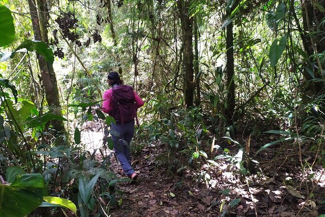 medellin-viewpoints-hike