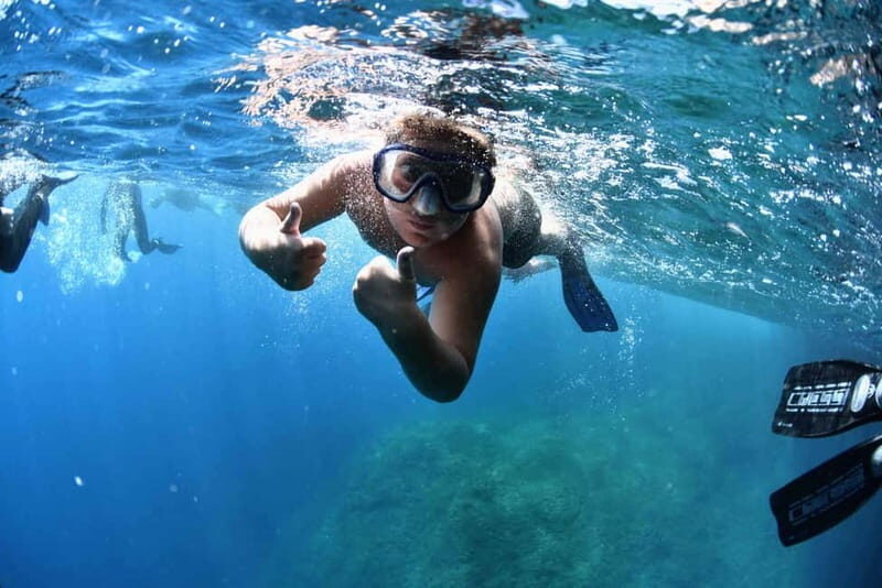 Medes Islands: Snorkeling at the beautiful Nature Park - Key Points