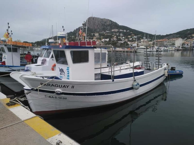 Medes Islands: Snorkeling at the beautiful Nature Park - Practical Details and Value