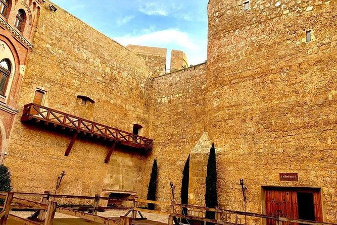medieval-castles-wineries-experience-with-tasting-from-madrid-2