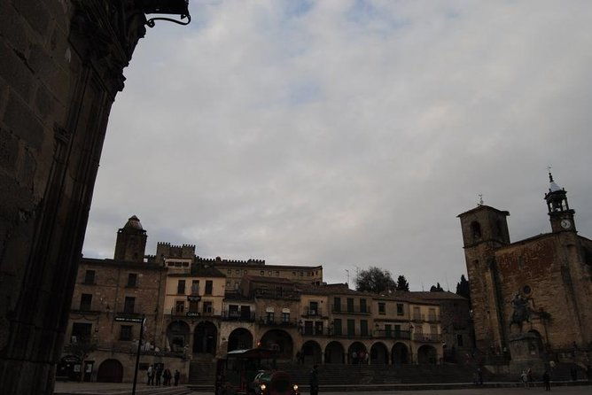 medieval-castles-wineries-experience-with-tasting-from-madrid