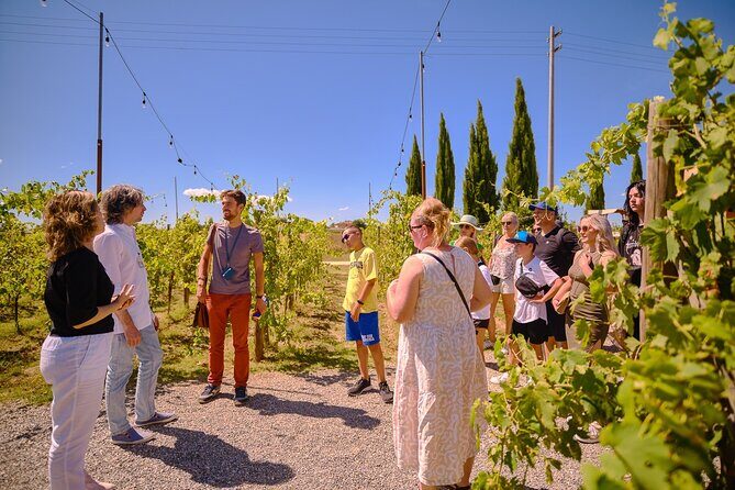 Medieval Gems of Tuscany: Siena, San Gimignano and Monteriggioni - Key Points