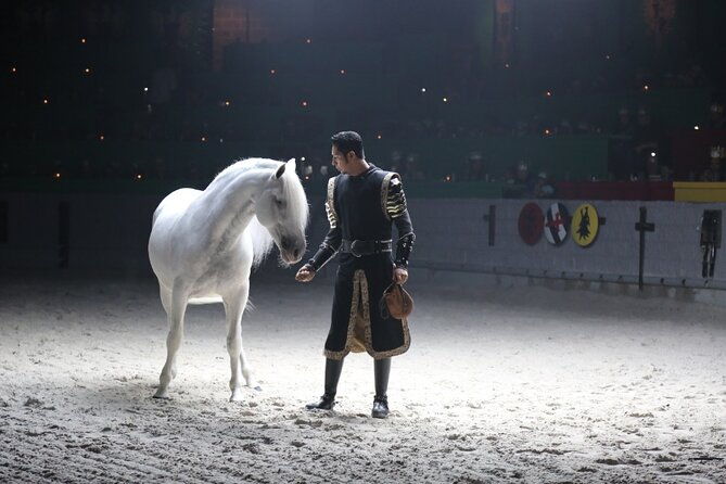 medieval-times-dinner-show-in-orlando