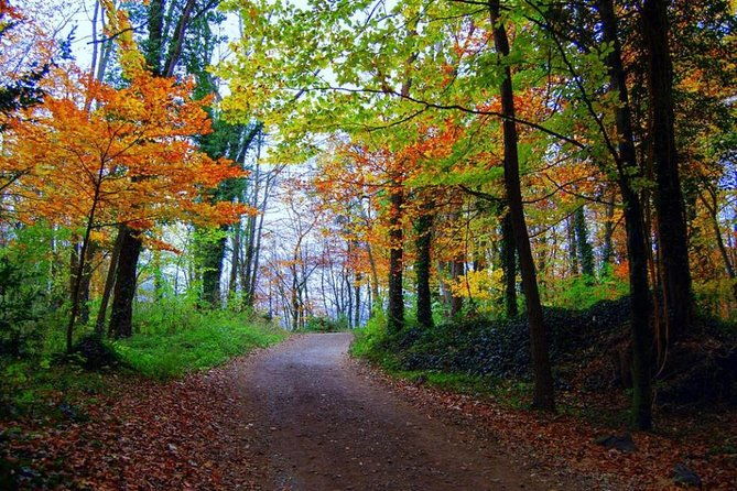 medieval-villages-la-garrotxa-volcanic-zone-hiking-small-group-tour