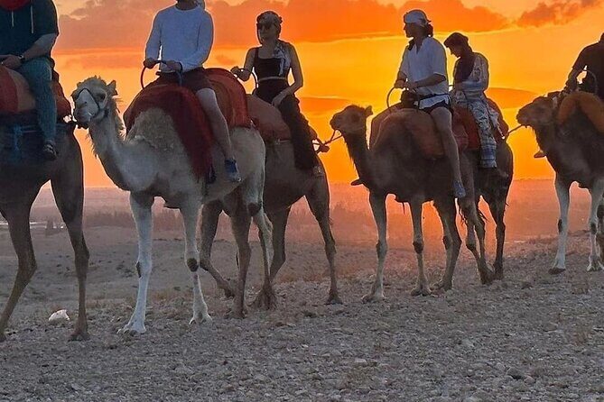 MEDINA of ESSAOUIRa - Who Will Love This Tour?