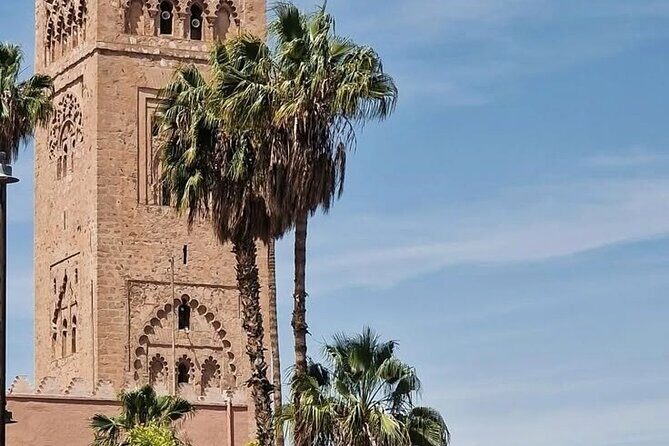 Medina of Marrakesh - The Experience: What to Expect from the Medina Tour