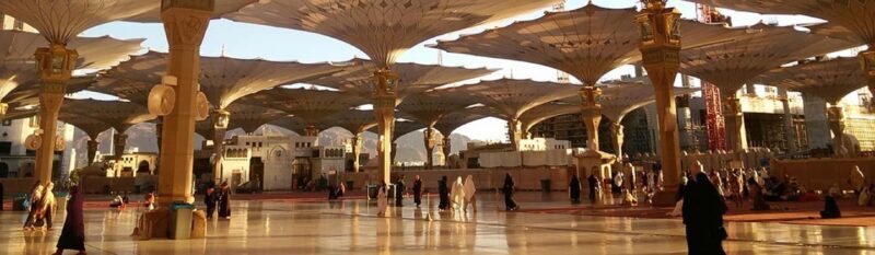 Medina Tour From Jeddah by Train - Key Points