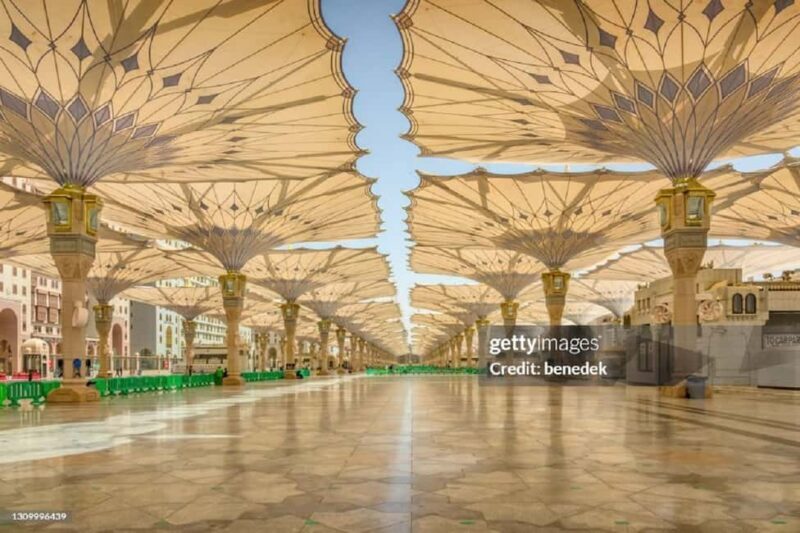 Medina Tour From Jeddah by Train - Value and Practicality