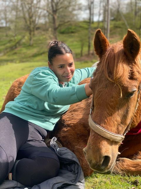 meditate-with-horses