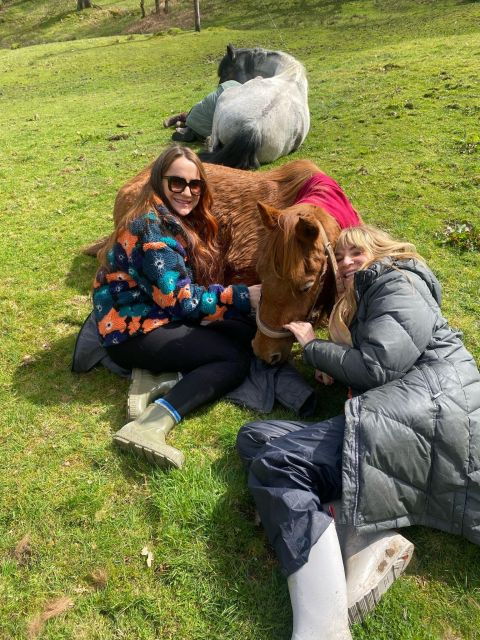 meditate-with-horses
