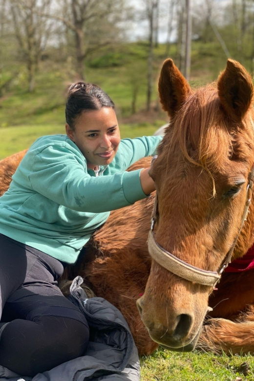 meditate-with-horses