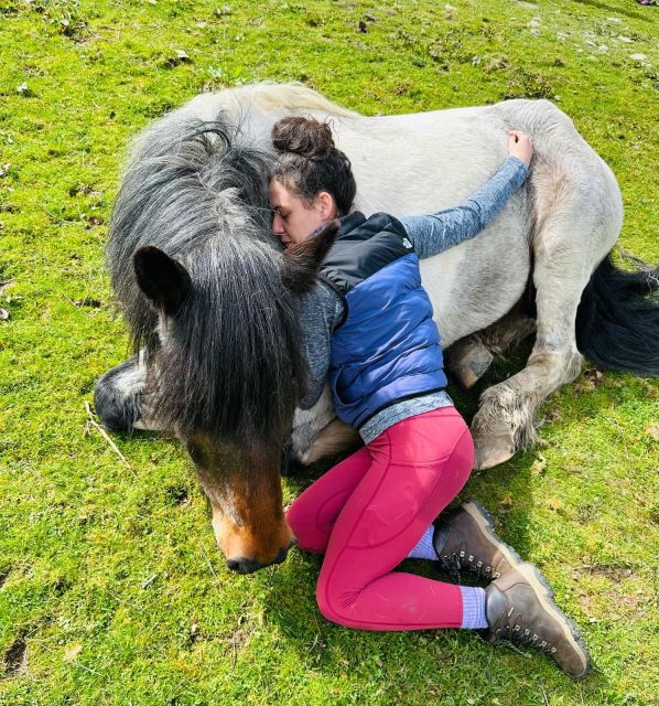 meditate-with-horses