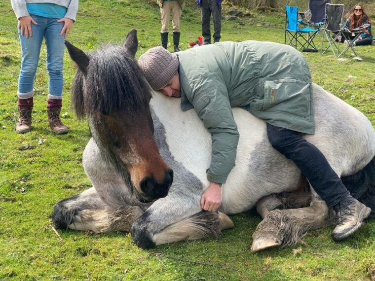 meditate-with-horses