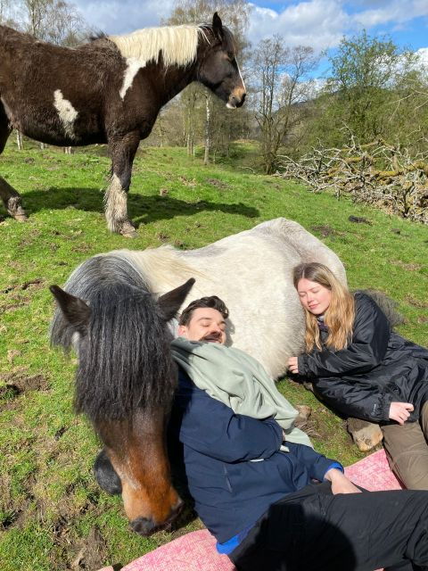 meditate-with-horses