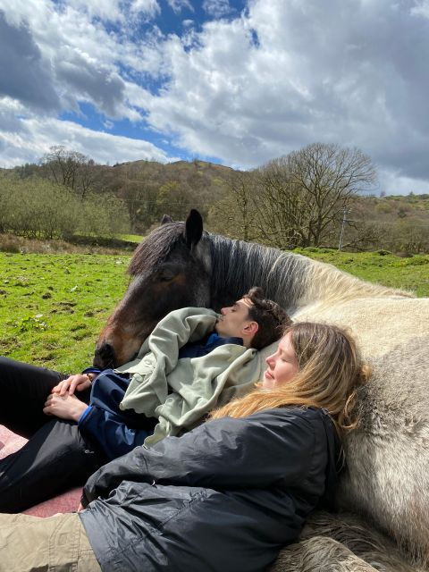 meditate-with-horses