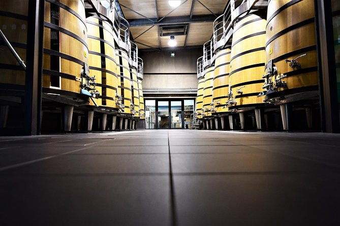 medoc-afternoon-wine-tour-2-wineries-tastings-delicacies